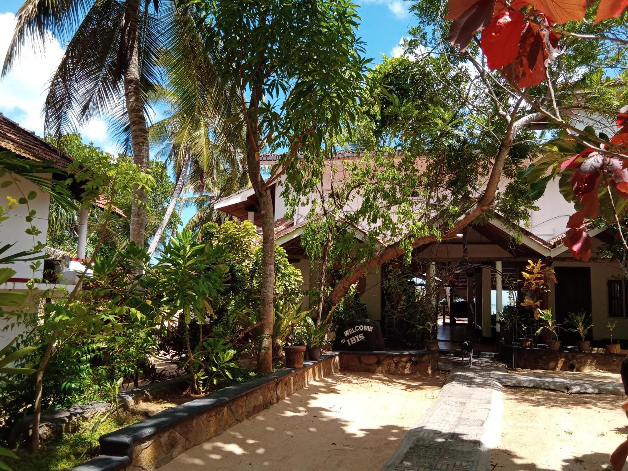 Ibisbird Beach Bungalow Tangalle Exterior photo