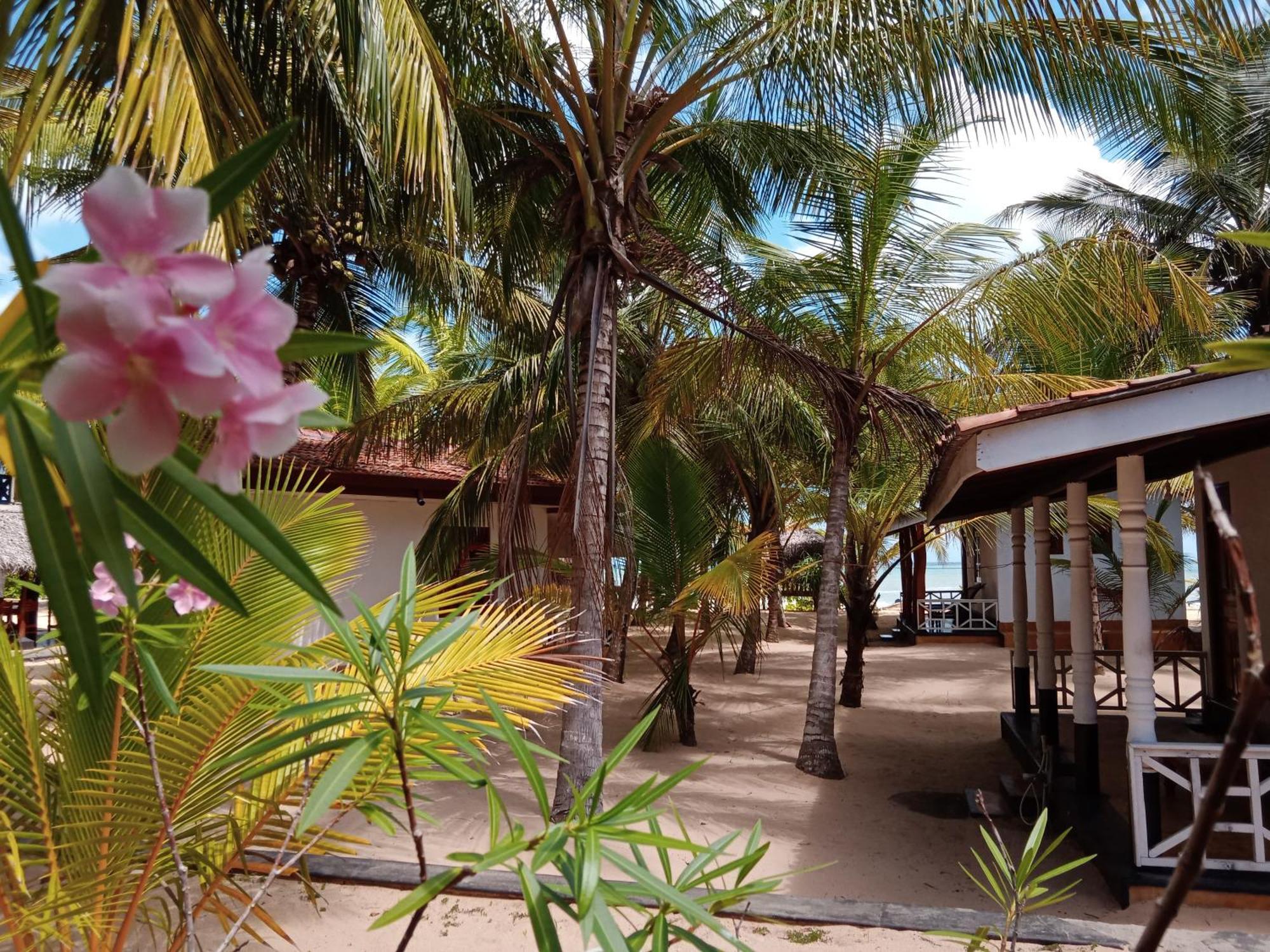 Ibisbird Beach Bungalow Tangalle Exterior photo