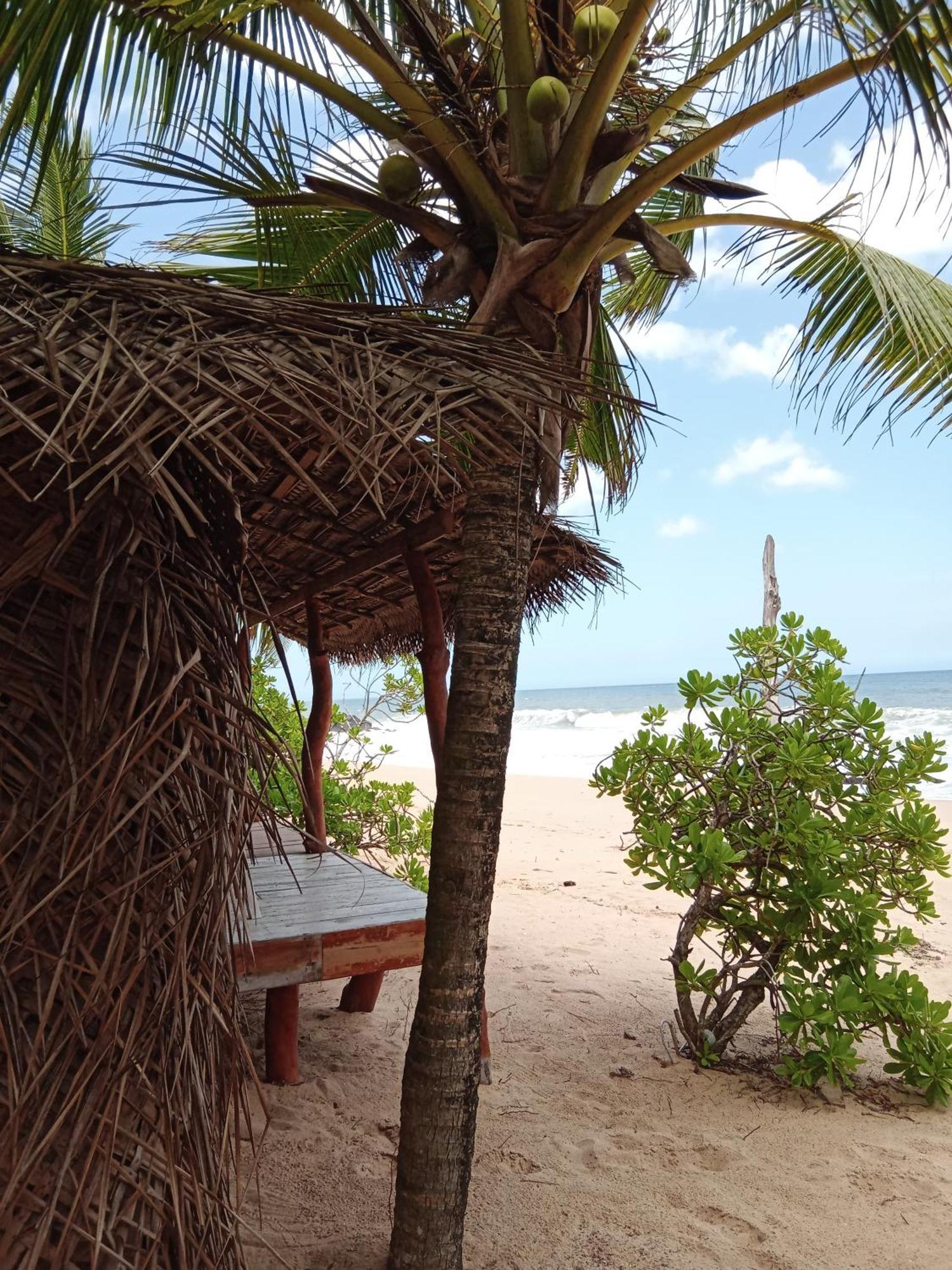 Ibisbird Beach Bungalow Tangalle Exterior photo